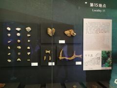 -北京周口店北京人遗址博物馆