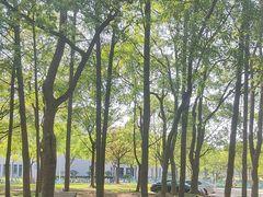 -上海师范大学(奉贤校区)