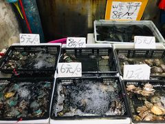 -朝陽市場
