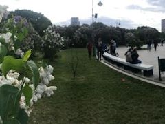 -维乐口腔医院(星海湾分院)