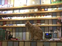 -小时光咖啡馆(开森度假森林店)