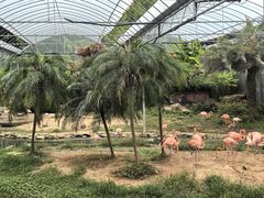 -无锡动物园·太湖欢乐园