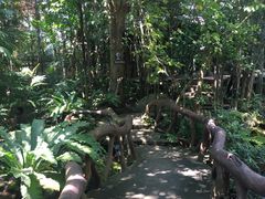 -绿光森林餐厅