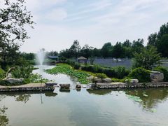 -静之湖湖畔餐厅