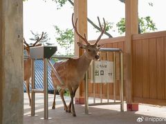 -学习谷日语培训日本留学·多语种外语教学(西单宣武分部)
