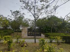 -飞来湖湿地公园