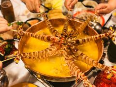 -鲜入围煮花胶鸡海鲜火锅