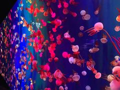 -成都浩海立方海洋公园