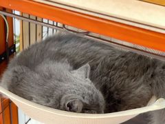 -塔拉苏咖啡(中信丹阳花园店)