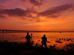 -宝安西湾红树林湿地公园