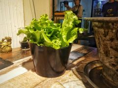 -奉天泥炉烤肉(七星店)