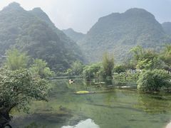 -靖西鹅泉风景区