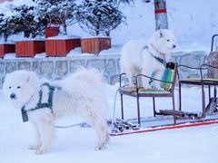 -哈尔滨热雪奇迹