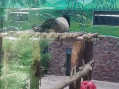 -黔灵山公园
