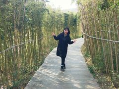 -白鹿原影视城