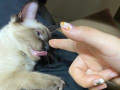 -宠颐生中康贝怡动物医院