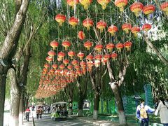 -北戴河集发农业梦想王国