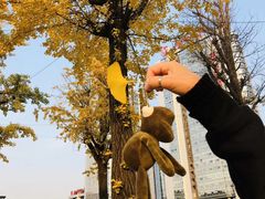 -两江幸福广场