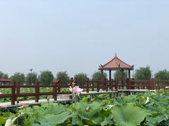 -金色田园农家乐餐厅
