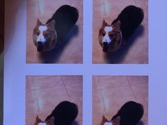 -世纪明达广告·厂家直销