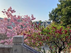 -乌山风景区