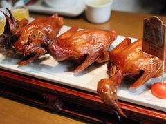 -大鸽饭(动物园店)