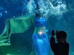 -嘉兴海底世界