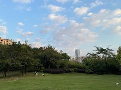 -南宁市凤岭儿童公园