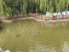 -大明幻境第一城