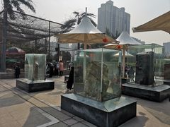 -陕西自然博物馆