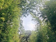 -红螺寺
