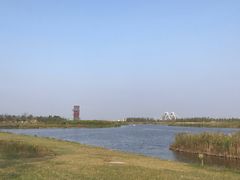 -春花秋色城市公园