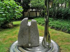 -陈家山荷花公园