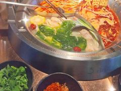 -辣伍鲜毛肚老火锅(元一店)