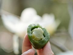 -沈大成(南京东路店)