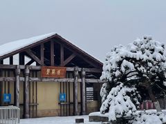 -盘龙城遗址博物院