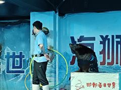 -邯郸海洋世界