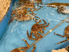 -耕海蟹将军(万象城店)