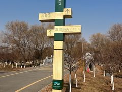 -西安浐灞国家湿地公园