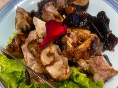 -海派美食·家宴海鲜青岛菜·石锅鲽鱼头(东方城店)