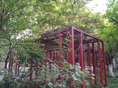 -西安市长乐公园