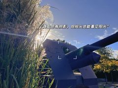 -上海吴淞炮台湾国家湿地公园