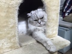 -小时光咖啡馆(开森度假森林店)
