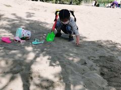-东郊湿地公园