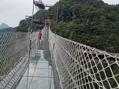 -梦幻奥陶纪景区