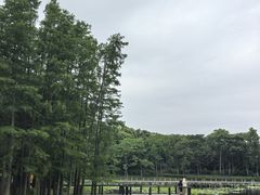 -长广溪湿地公园