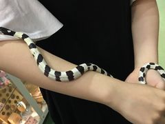 -藦茜花园宠物主题亲子互动体验馆(国顺东路店)