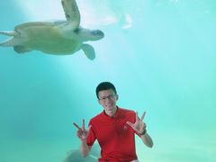 -广东惠东海龟国家级自然保护区