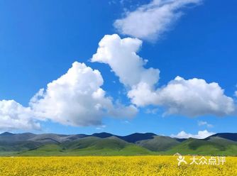 遛娃-西北环线避暑游之青海湖