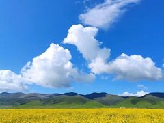 -青海湖国家重点风景名胜区